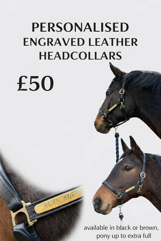 Horse Leather Headcollar with Laser Engraved Name Plate