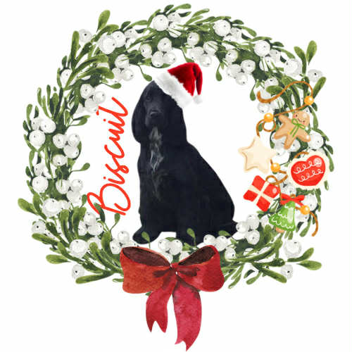 Personalised Dog Hoodie - Printed