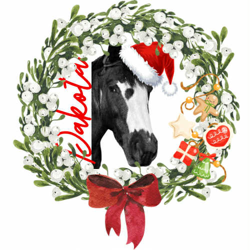 Personalised Horse Hoodie - Printed